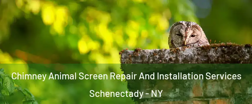  Chimney Animal Screen Repair And Installation Services Schenectady - NY