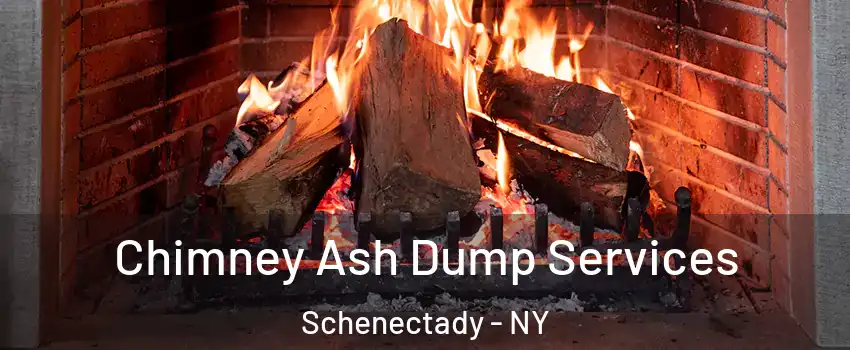  Chimney Ash Dump Services Schenectady - NY
