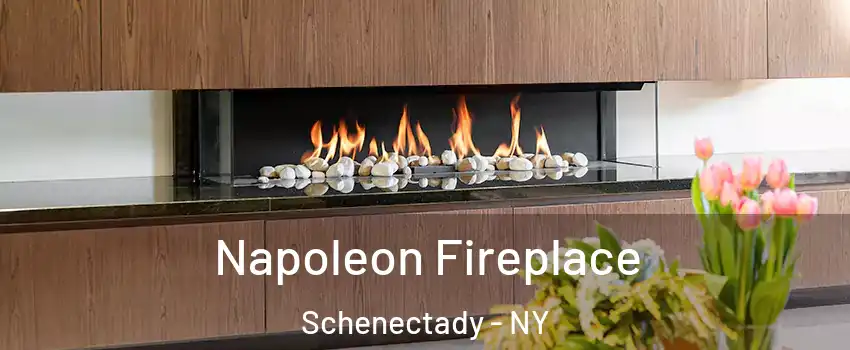  Napoleon Fireplace Schenectady - NY